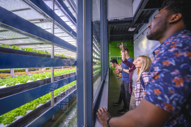 Microgreen Business